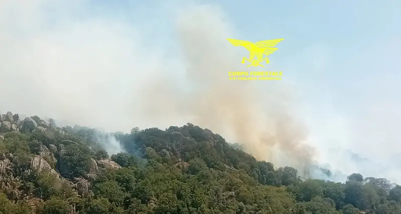 Incendi: 12 i roghi in Sardegna. In azione elicotteri e Canadair