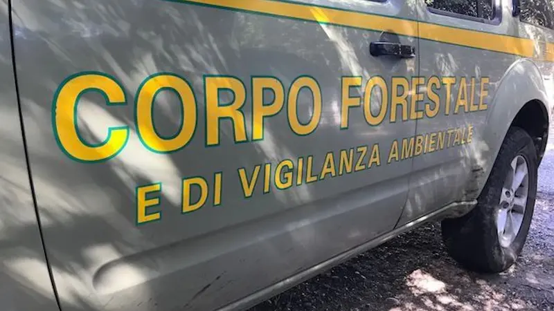 Lavori abusivi e sorgente Mitza Fundalis danneggiata: sequestrata l'area a Uta