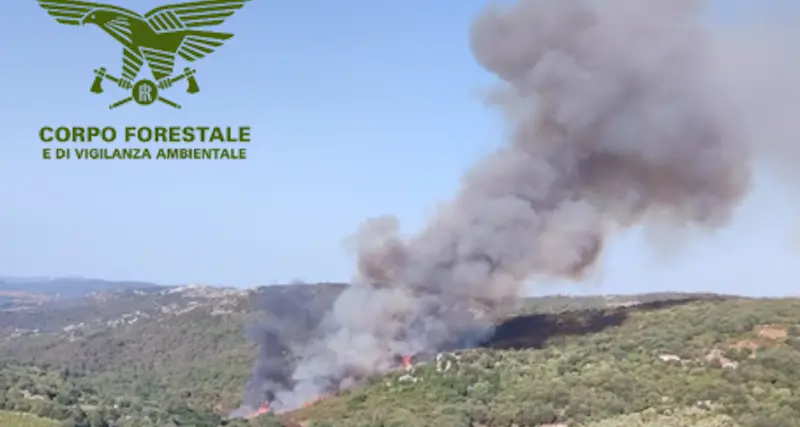 È ripartito l’incendio tra Luras e Calangianus