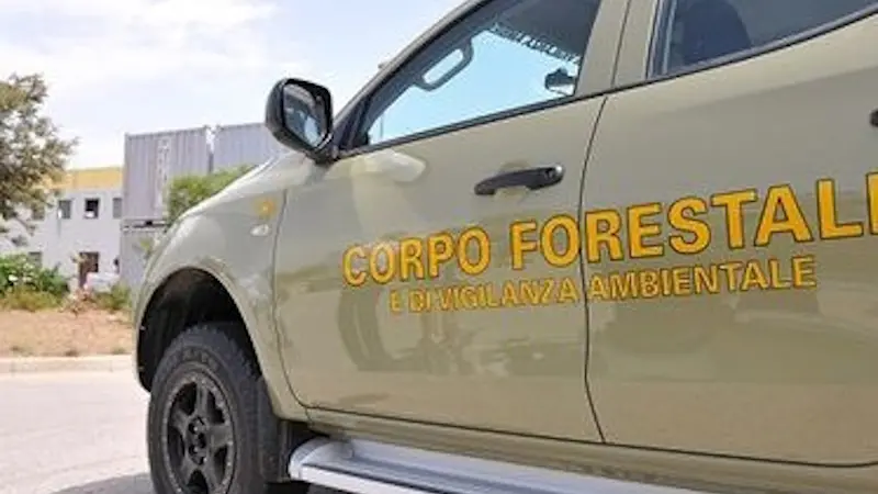 Operazione anti-campeggio abusivo a Porto Botte e Punta Trettu