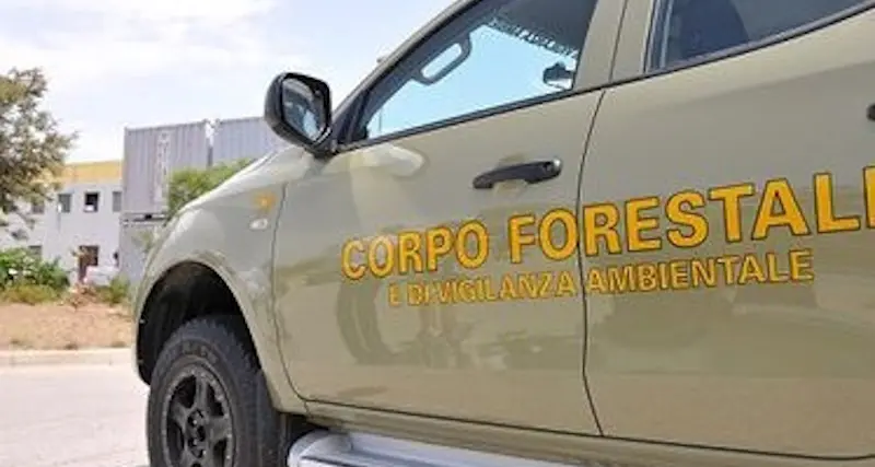 Ville di lusso confiscate a Domus de Maria: demolizione in vista