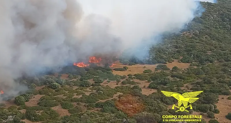 Oggi in Sardegna sette incendi, in volo elicotteri e Canadair