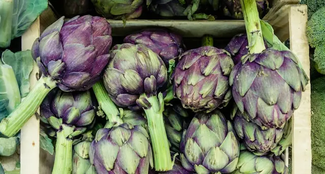 Tre lavoratori in nero per raccogliere carciofi, multato