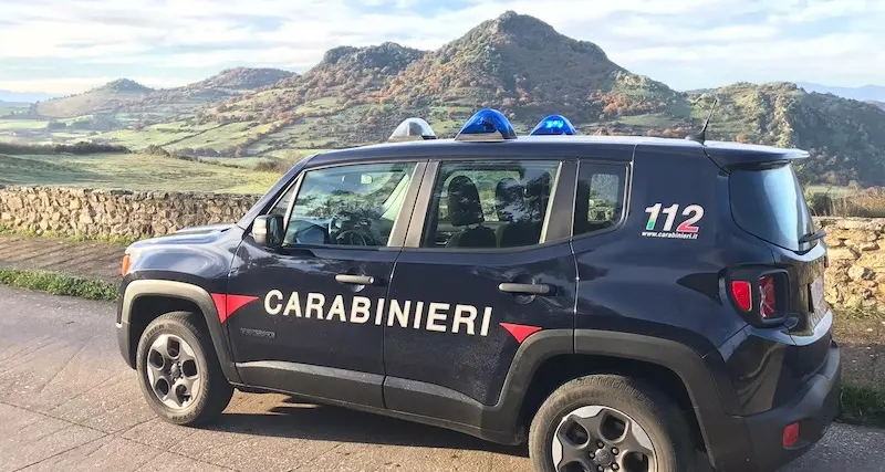 Bonorva. Tenta di appiccare incendio sulla Provinciale 43, allevatore arrestato