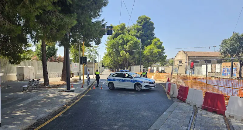 Cagliari, rischio crollo albero: paura in strada