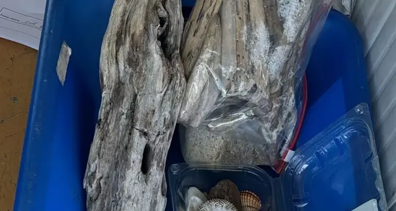 Turisti tedeschi fermati a Olbia: in valigia avevano conchiglie e sassi
