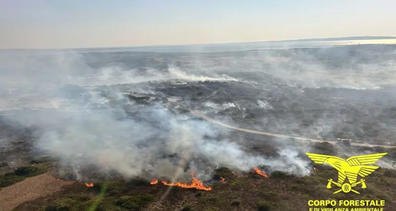 Oggi 16 incendi in Sardegna: Carbonia avvolta dalle fiamme