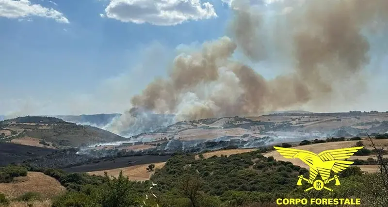 Ancora 18 incendi in Sardegna: Orroli devastata dalle fiamme
