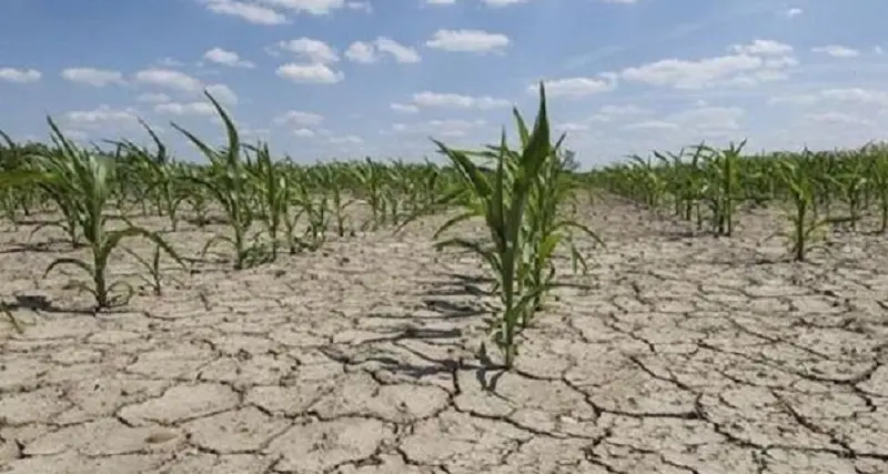 Sardegna, allarme siccità: via al distacco dell'utenza irrigua