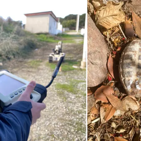 Laconi. I carabinieri fanno “brillare” una bomba della Prima Guerra Mondiale