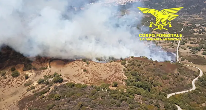 Incendi e siccità tormentano i boschi in Ogliastra e Baronia