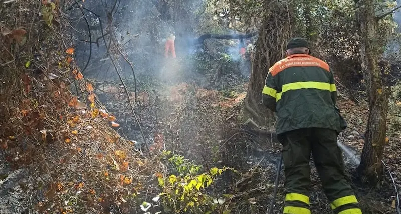 La Sardegna brucia ancora: oggi 15 incendi