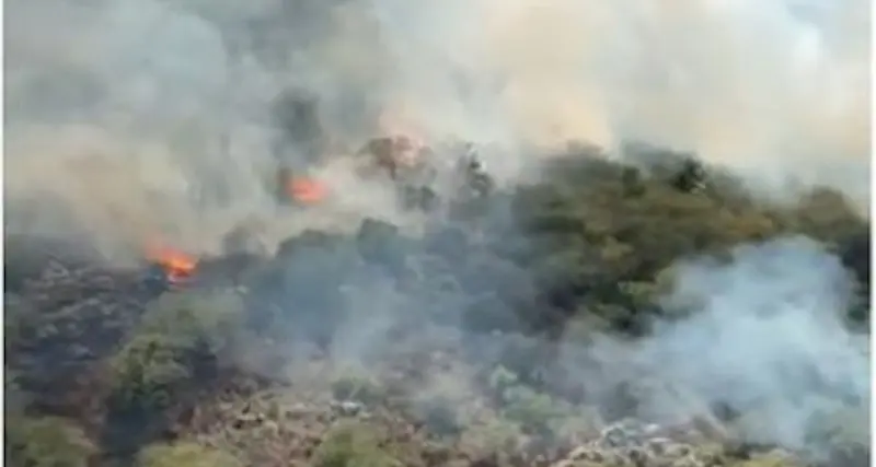 La Sardegna continua a bruciare: oggi 9 incendi, elicottero a Benetutti