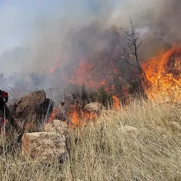 Sardegna brucia \"anche per negligenza\", la Forestale denuncia 9 persone per incendi colposi
