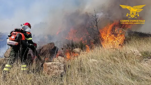 Sardegna brucia \"anche per negligenza\", la Forestale denuncia 9 persone per incendi colposi