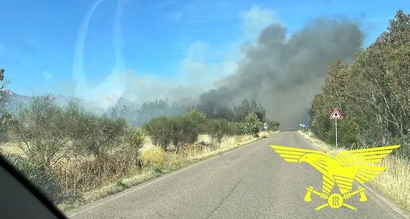 Dieci incendi oggi in Sardegna: mezzi aerei a Sindia e Siliqua