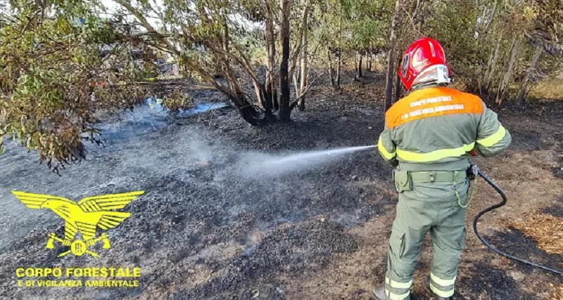 Sardegna: 15 gli incendi sull'Isola, mezzi aerei in azione
