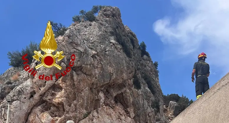 Capra bloccata fra le rocce a Santa Maria Navarrese, salvata