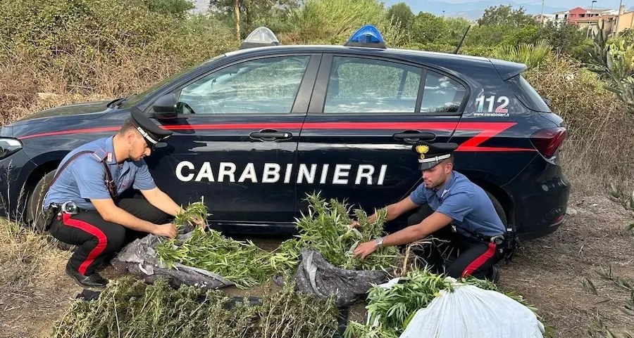 Tortolì. I carabinieri trovano 28 chili di marijuana