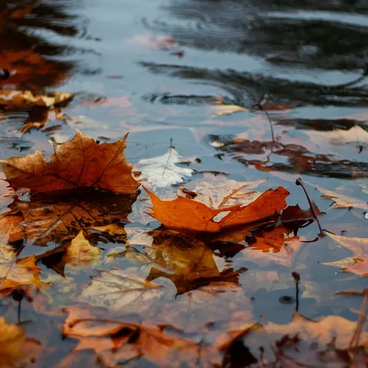 Un inverno che sembra autunno: venti e piogge intense in Sardegna