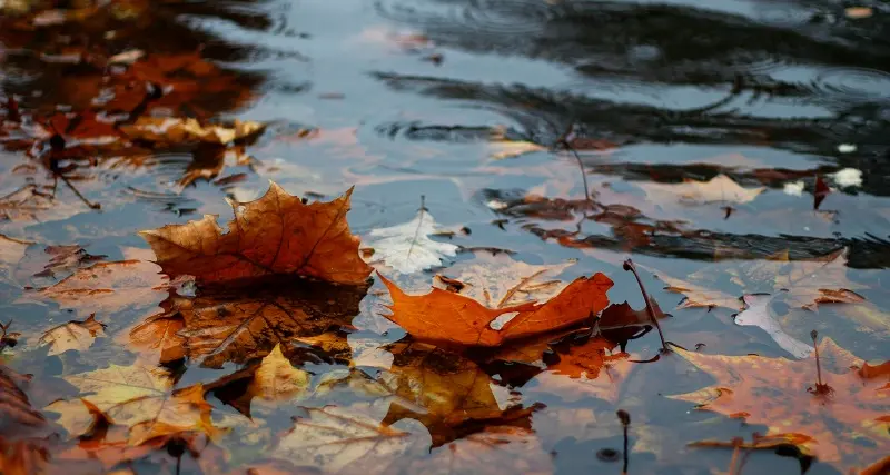 Meteo. Arriva l'autunno: pioggia e temperature giù di 15°