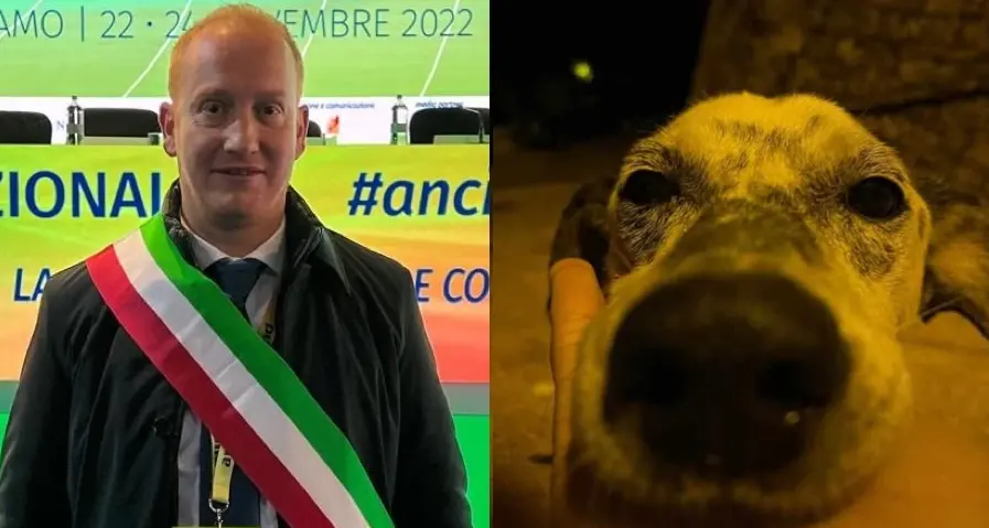 Cane ucciso a Bono, il sindaco: “Basta dipingere la nostra comunità come violenta e omertosa”