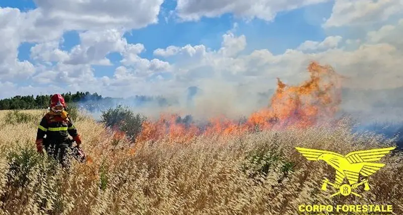 Oggi 14 incendi in Sardegna: paura a Serdiana