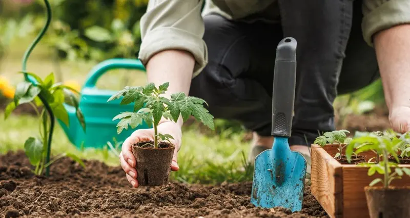 Agricoltura: menzione speciale alla Sardegna per l'agrobiodiversità