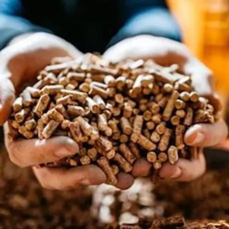 Sestu. Sotto sequestro 8 tonnellate di pellet in un negozio