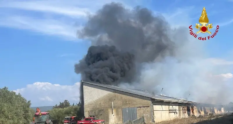 Fiamme in un capannone a San Nicolò d’Arcidano, danni ingenti