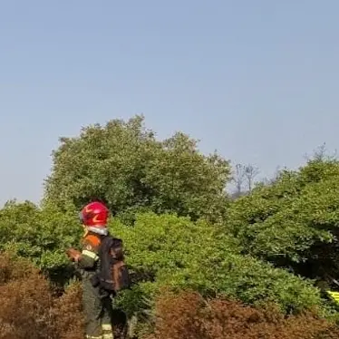 Arrestato presunto piromane dell'incendio di Pula: indagini e prove decisive