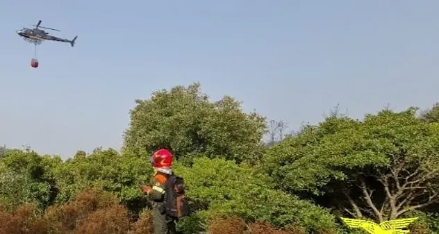 La Sardegna brucia ancora: oggi nove incendi