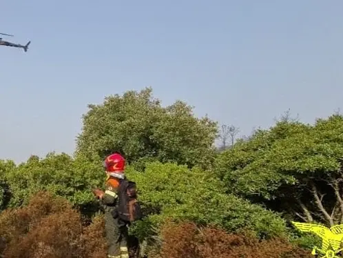 Arrestato presunto piromane dell'incendio di Pula: indagini e prove decisive