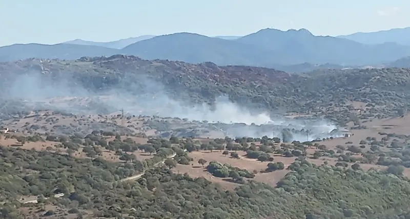 Incendi: 13 i roghi in Sardegna, mezzi aerei a Orotelli e Maracalagonis