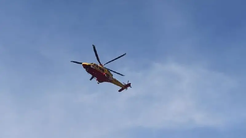 Allevatore “caricato” da un vitello a Santu Lussurgiu, è in gravi condizioni