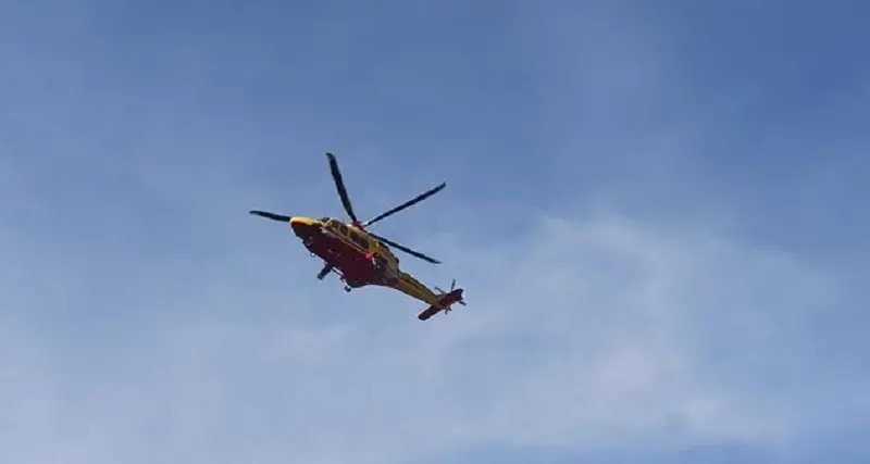 Allevatore “caricato” da un vitello a Santu Lussurgiu, è in gravi condizioni