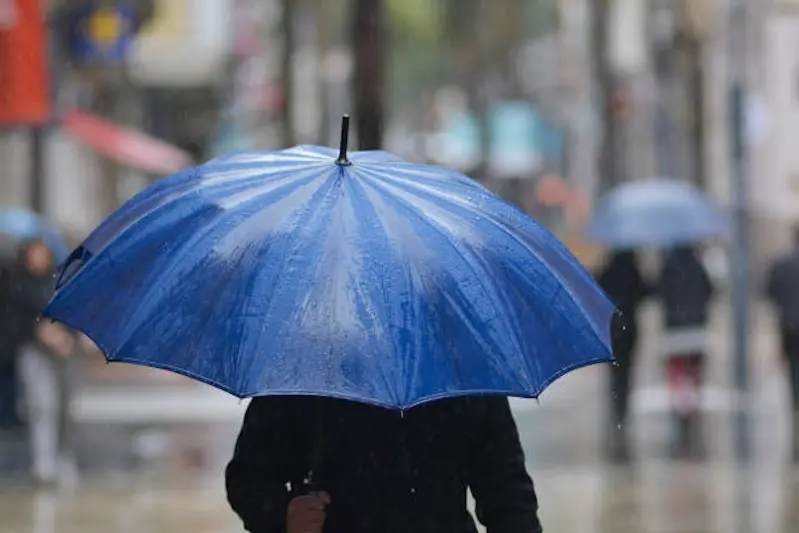 <p>Umbrella in the rain</p>\\n