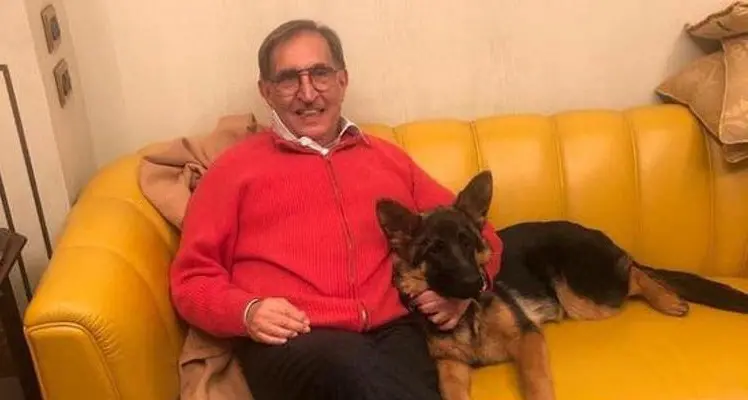 Cani e gatti al Senato, La Russa: \"E' il momento di dare l'ok\"