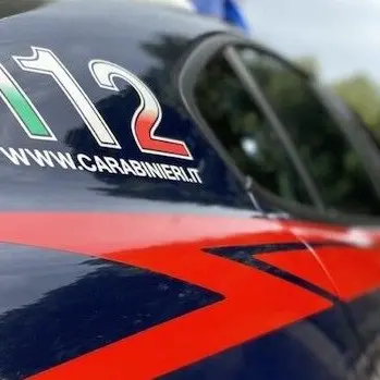 Migranti senza biglietto bloccano un pullman: denunciati dai carabinieri