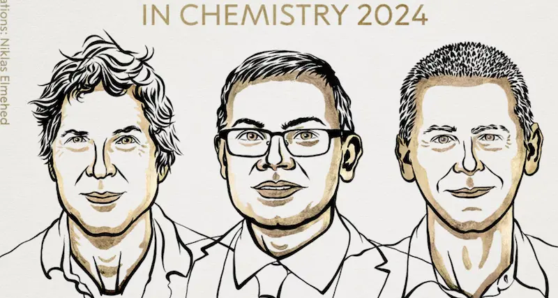 Nobel per la chimica a Baker, Hassabis e Jumper: il premio per le scoperte sulle proteine