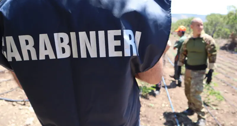 Sindia. Oltre 5 chili di droga nascosta nell’ovile, un arresto