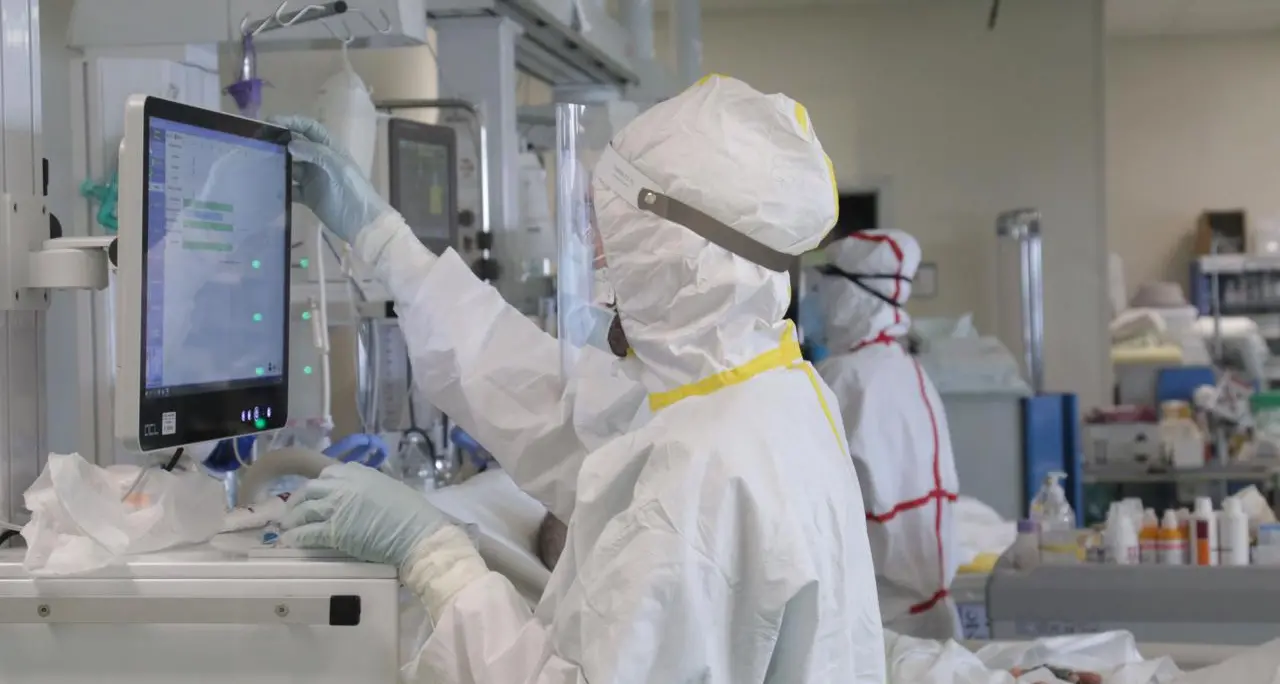 Scoperto nuovo coronavirus dai pipistrelli: team di scienziati cinesi avverte sui rischi