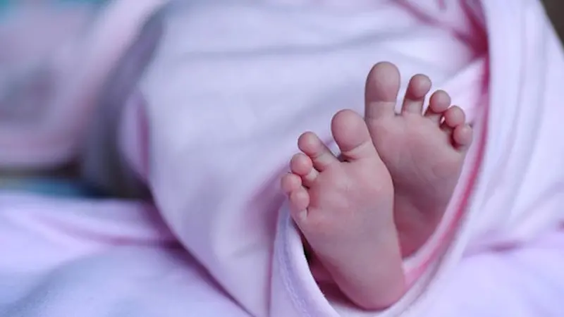 Neonata salvata da rara malformazione al fegato: 2 interventi mininvasivi al Regina di Torino