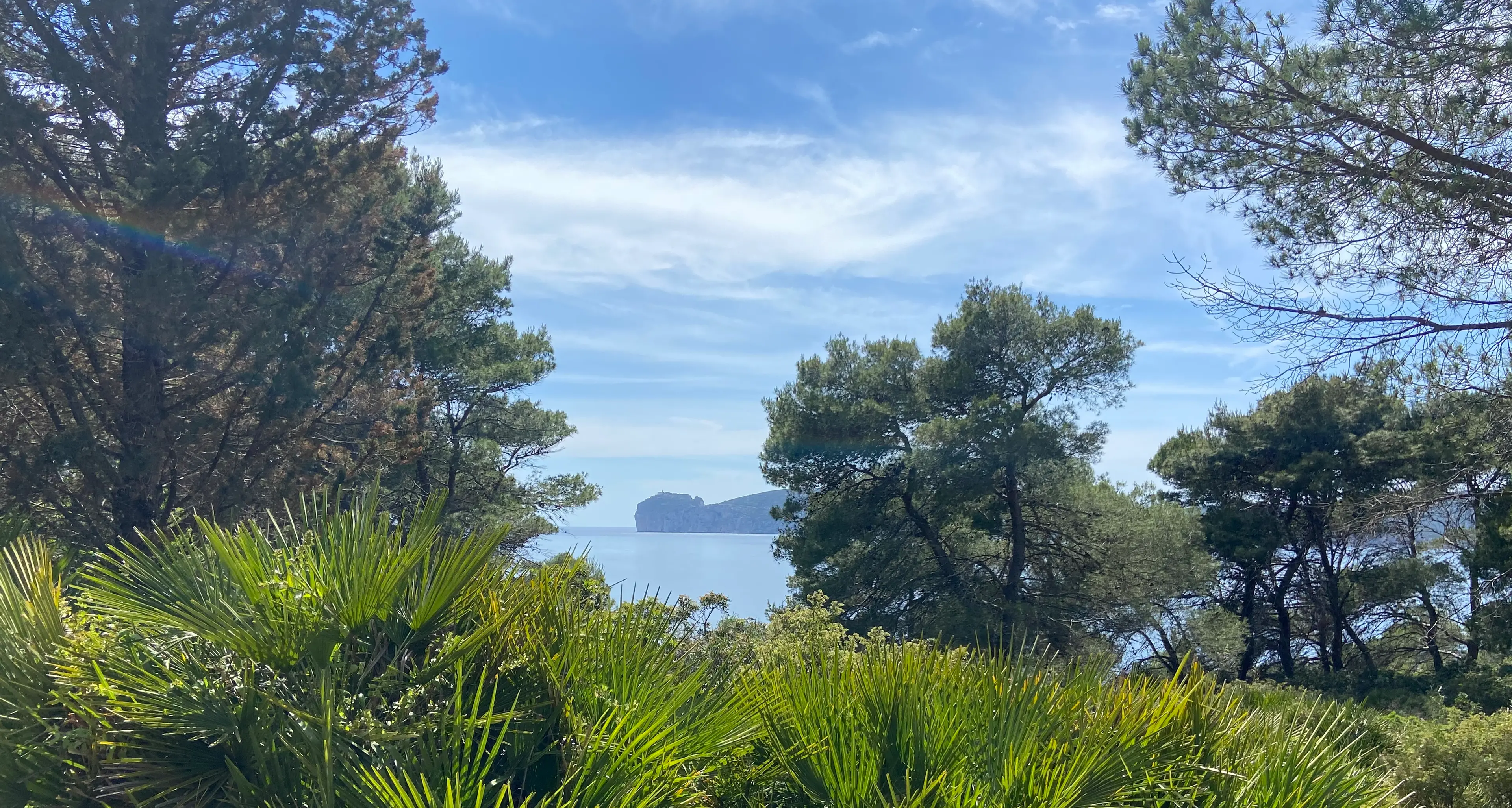 Porto Conte, 4,2 milioni per il ripristino ambientale: al via il progetto
