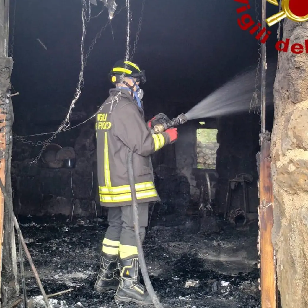 Fiamme in un ovile: diversi animali morti