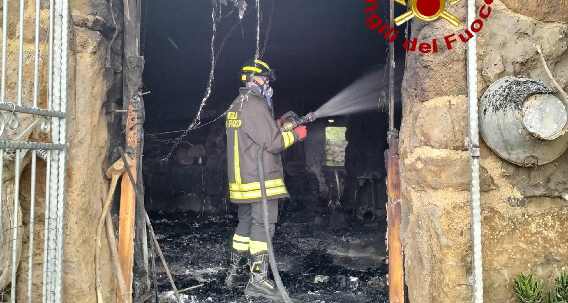 Fiamme in un ovile: diversi animali morti