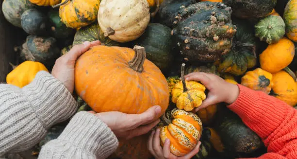 La zucca: simbolo d'autunno tra storia e magia