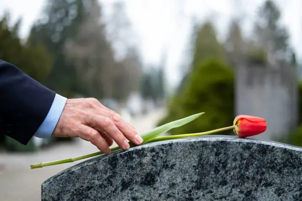 <p>Red flower on tombstone at cemetery</p>\\n