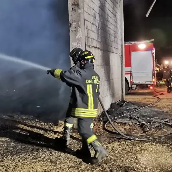 Fiamme in un fienile: 20 vitellini morti