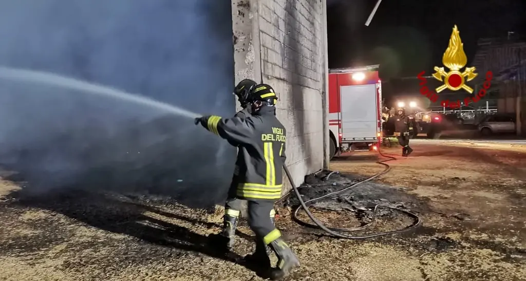 Fiamme in un fienile: 20 vitellini morti
